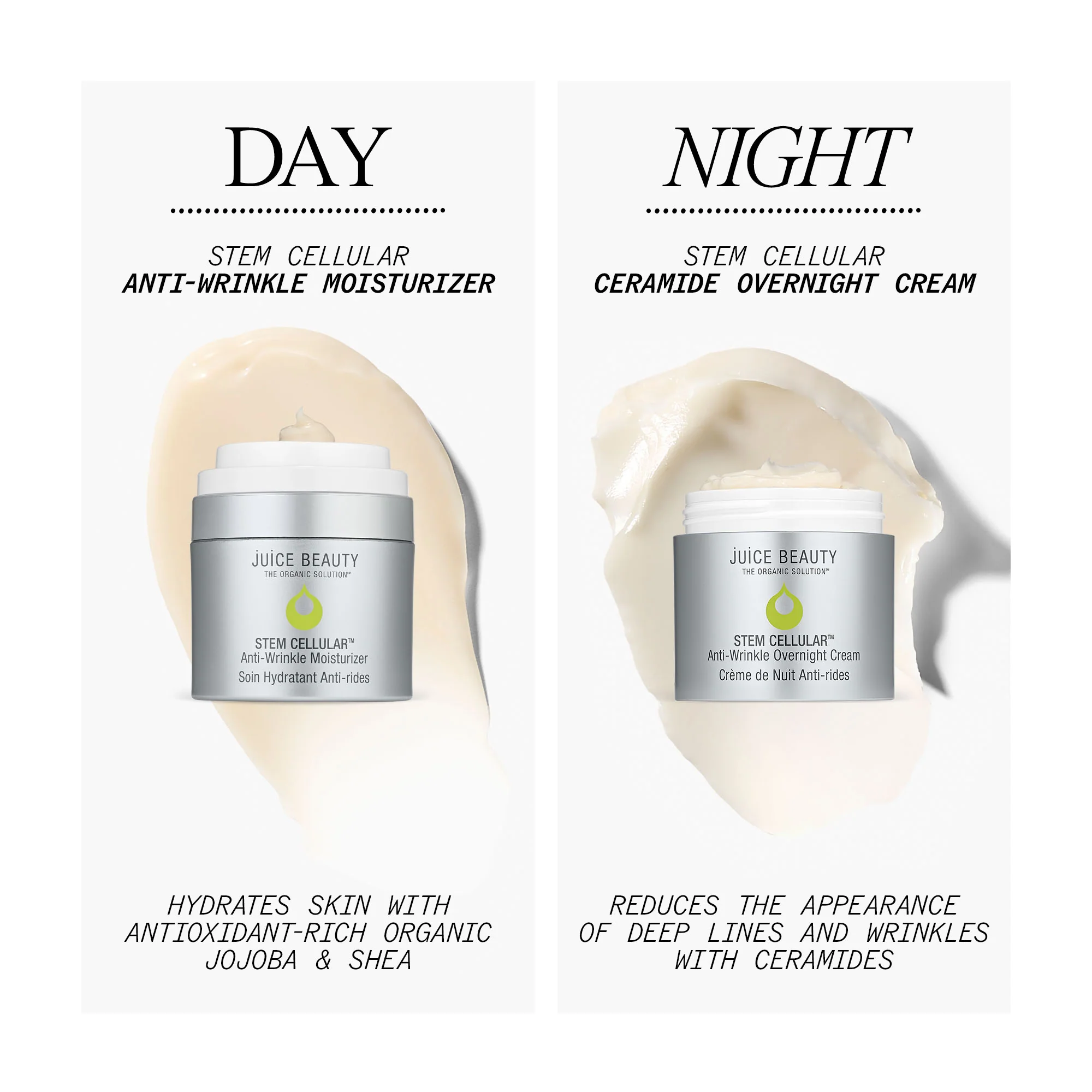 Anti-Wrinkle Ceramide Overnight Cream - Image 8